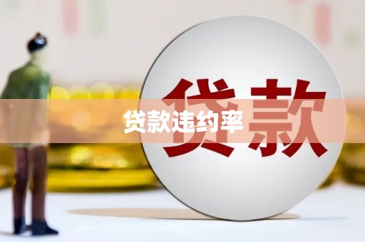 勐海贷款违约率
