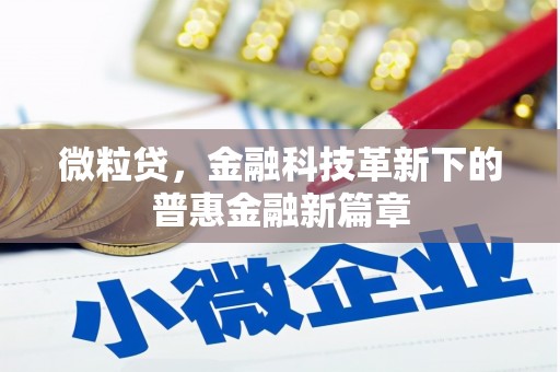勐海微粒贷，金融科技革新下的普惠金融新篇章