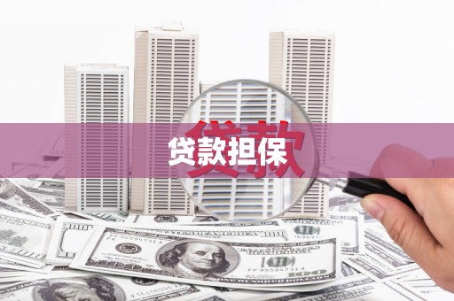 勐海贷款担保