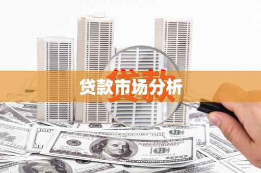 勐海贷款市场分析