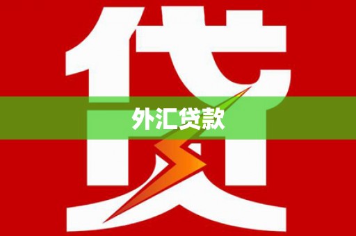 勐海外汇贷款