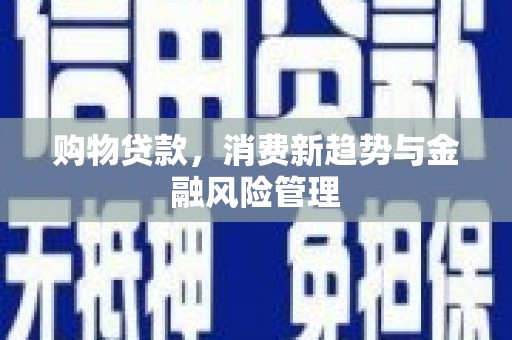 勐海购物贷款，消费新趋势与金融风险管理