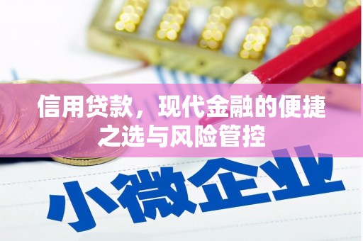 勐海信用贷款，现代金融的便捷之选与风险管控