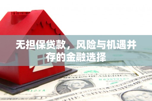 勐海无担保贷款，风险与机遇并存的金融选择
