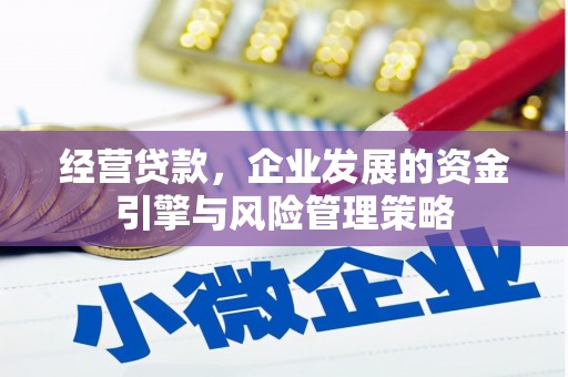 勐海经营贷款，企业发展的资金引擎与风险管理策略