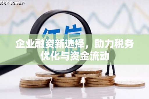 勐海企业融资新选择，助力税务优化与资金流动