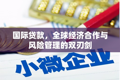 勐海国际贷款，全球经济合作与风险管理的双刃剑