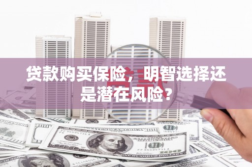 勐海贷款购买保险，明智选择还是潜在风险？