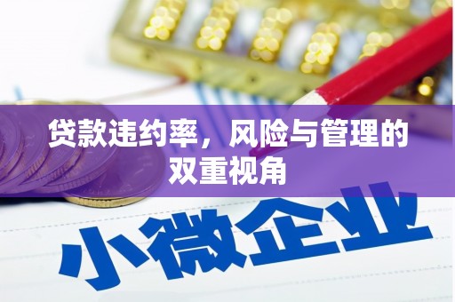 勐海贷款违约率，风险与管理的双重视角