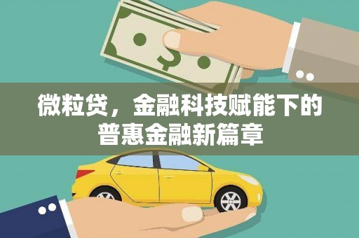 勐海微粒贷，金融科技赋能下的普惠金融新篇章