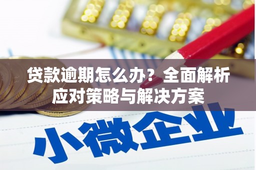 勐海贷款逾期怎么办？全面解析应对策略与解决方案