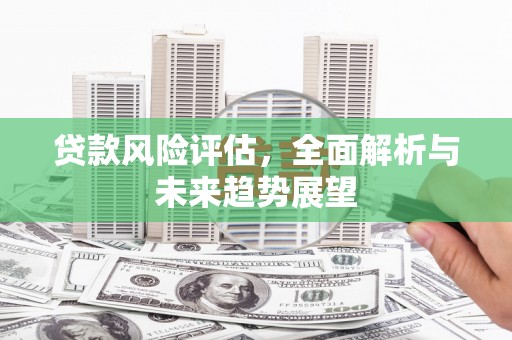 勐海贷款风险评估，全面解析与未来趋势展望