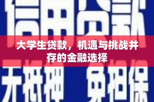 勐海大学生贷款，机遇与挑战并存的金融选择