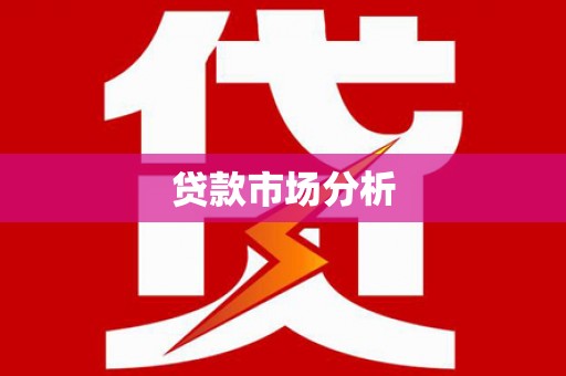 勐海贷款市场分析