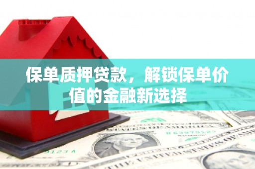 勐海保单质押贷款，解锁保单价值的金融新选择