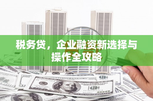 勐海税务贷，企业融资新选择与操作全攻略