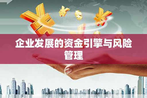 勐海企业发展的资金引擎与风险管理