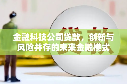 勐海金融科技公司贷款，创新与风险并存的未来金融模式