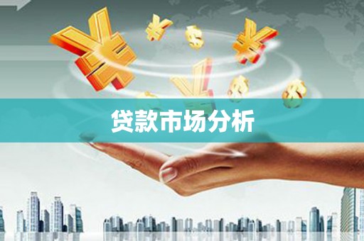 勐海贷款市场分析
