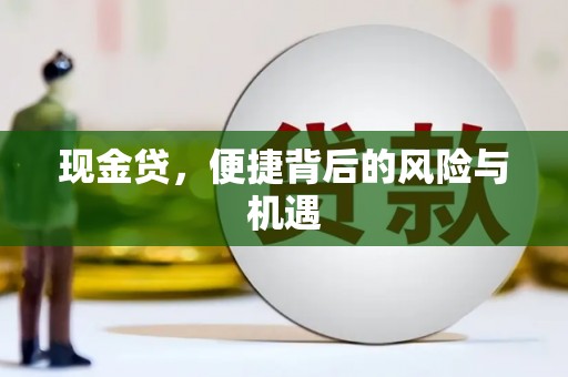 勐海现金贷，便捷背后的风险与机遇
