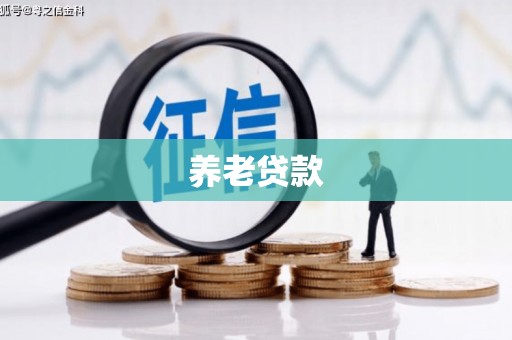 勐海养老贷款
