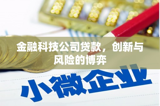 勐海金融科技公司贷款，创新与风险的博弈