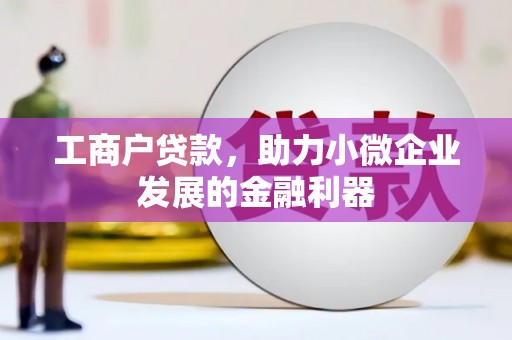 勐海工商户贷款，助力小微企业发展的金融利器