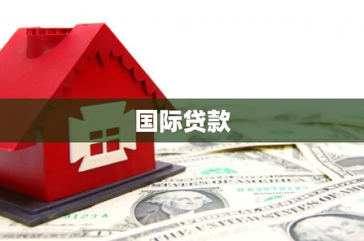 勐海国际贷款
