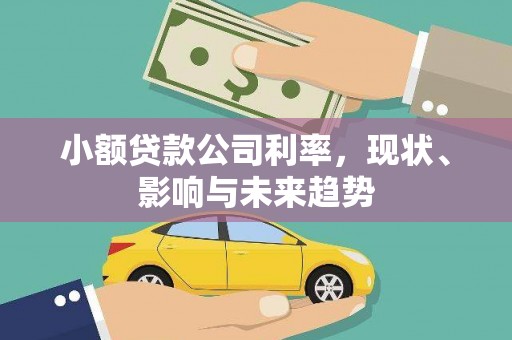 勐海小额贷款公司利率，现状、影响与未来趋势