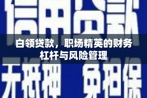 勐海白领贷款，职场精英的财务杠杆与风险管理