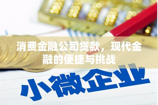 勐海消费金融公司贷款，现代金融的便捷与挑战