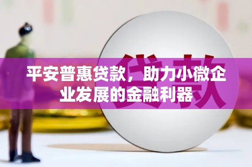 勐海平安普惠贷款，助力小微企业发展的金融利器