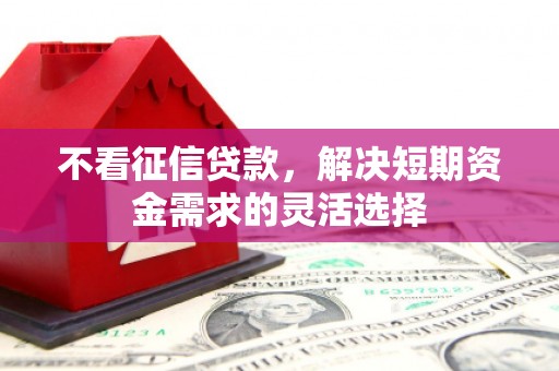 勐海不看征信贷款，解决短期资金需求的灵活选择