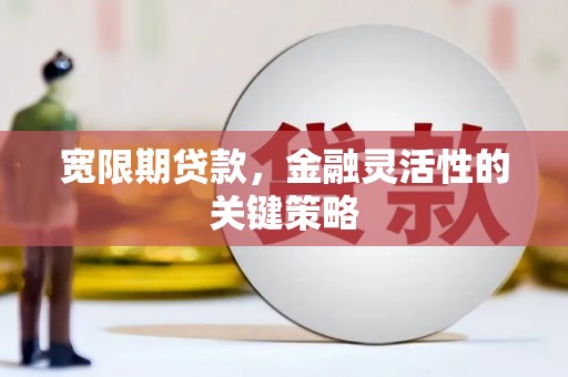 勐海宽限期贷款，金融灵活性的关键策略