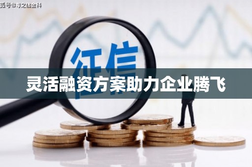 勐海灵活融资方案助力企业腾飞