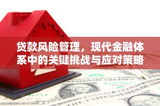 勐海贷款风险管理，现代金融体系中的关键挑战与应对策略