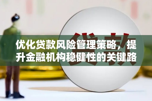 勐海优化贷款风险管理策略，提升金融机构稳健性的关键路径