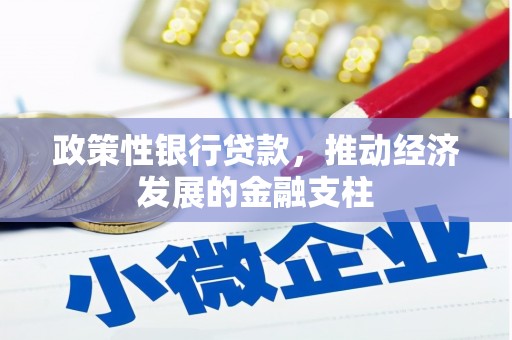 勐海政策性银行贷款，推动经济发展的金融支柱