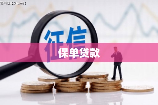 勐海保单贷款