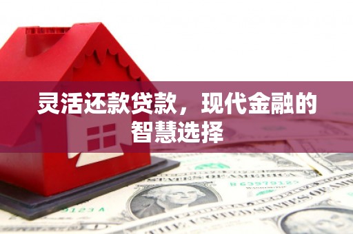 勐海灵活还款贷款，现代金融的智慧选择