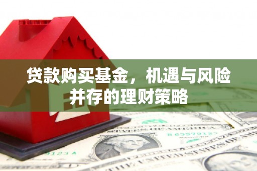 勐海贷款购买基金，机遇与风险并存的理财策略