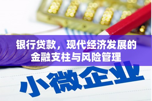 勐海银行贷款，现代经济发展的金融支柱与风险管理