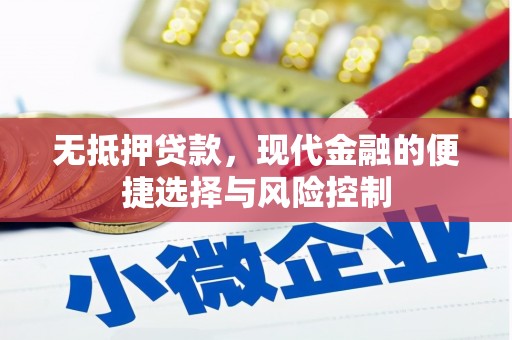 勐海无抵押贷款，现代金融的便捷选择与风险控制
