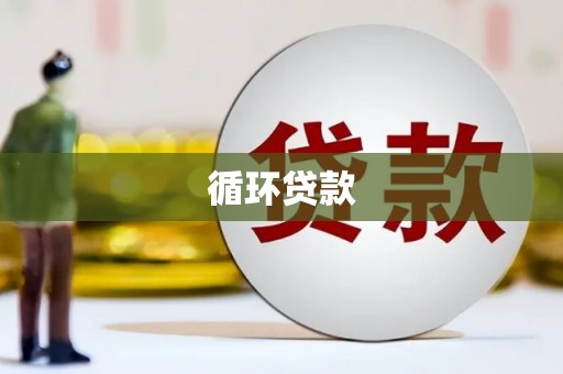 勐海循环贷款