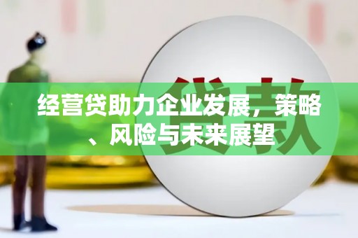 勐海经营贷助力企业发展，策略、风险与未来展望