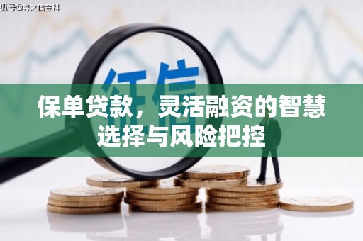 勐海保单贷款，灵活融资的智慧选择与风险把控