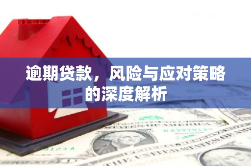 勐海逾期贷款，风险与应对策略的深度解析