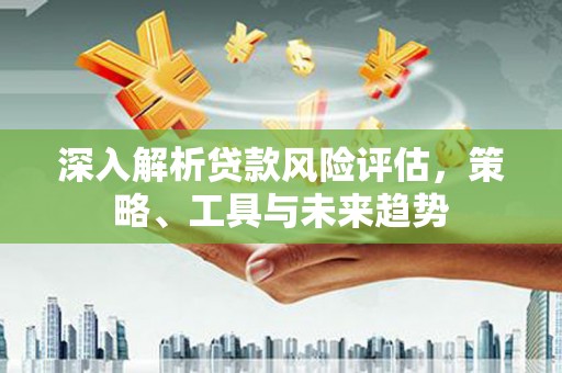 勐海深入解析贷款风险评估，策略、工具与未来趋势