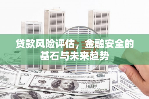 勐海贷款风险评估，金融安全的基石与未来趋势