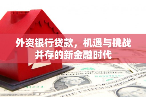 勐海外资银行贷款，机遇与挑战并存的新金融时代